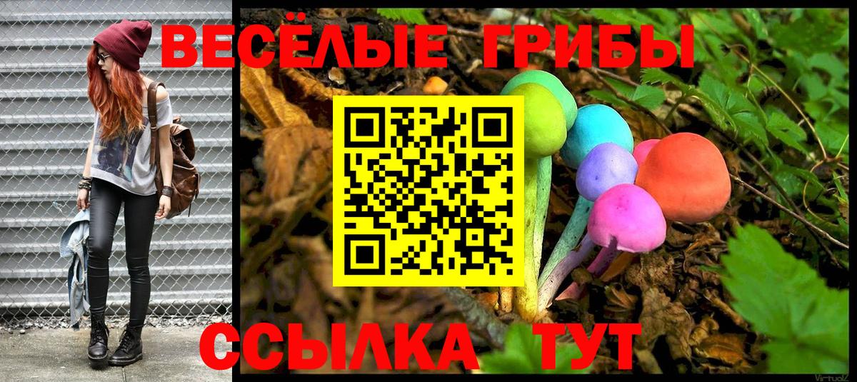 Галлюциногенные грибы Psilocybe  Вход с VPN  Белгород 
